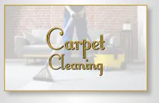 Carpet Cleaning Carpet Cleaning