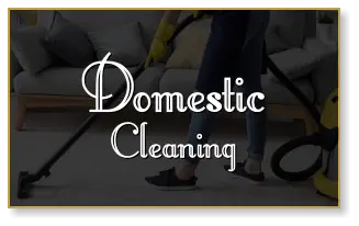 Domestic Cleaning Domestic Cleaning