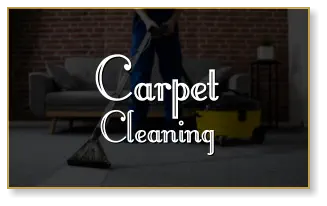 Carpet Cleaning Carpet Cleaning