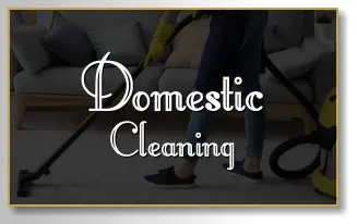 Domestic Cleaning Domestic Cleaning