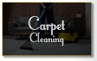 Carpet Cleaning Carpet Cleaning