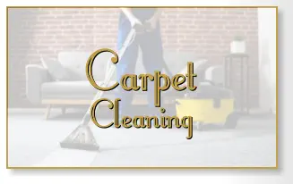 Carpet Cleaning Carpet Cleaning