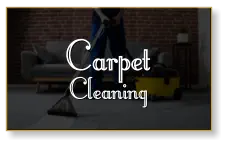 Carpet Cleaning Carpet Cleaning