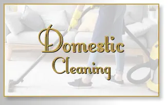 Domestic Cleaning Domestic Cleaning